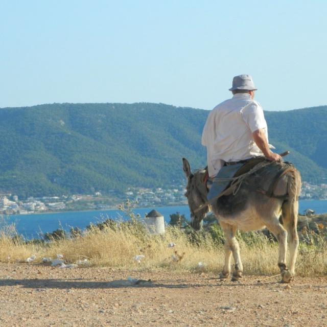 How to get to Rovinj?